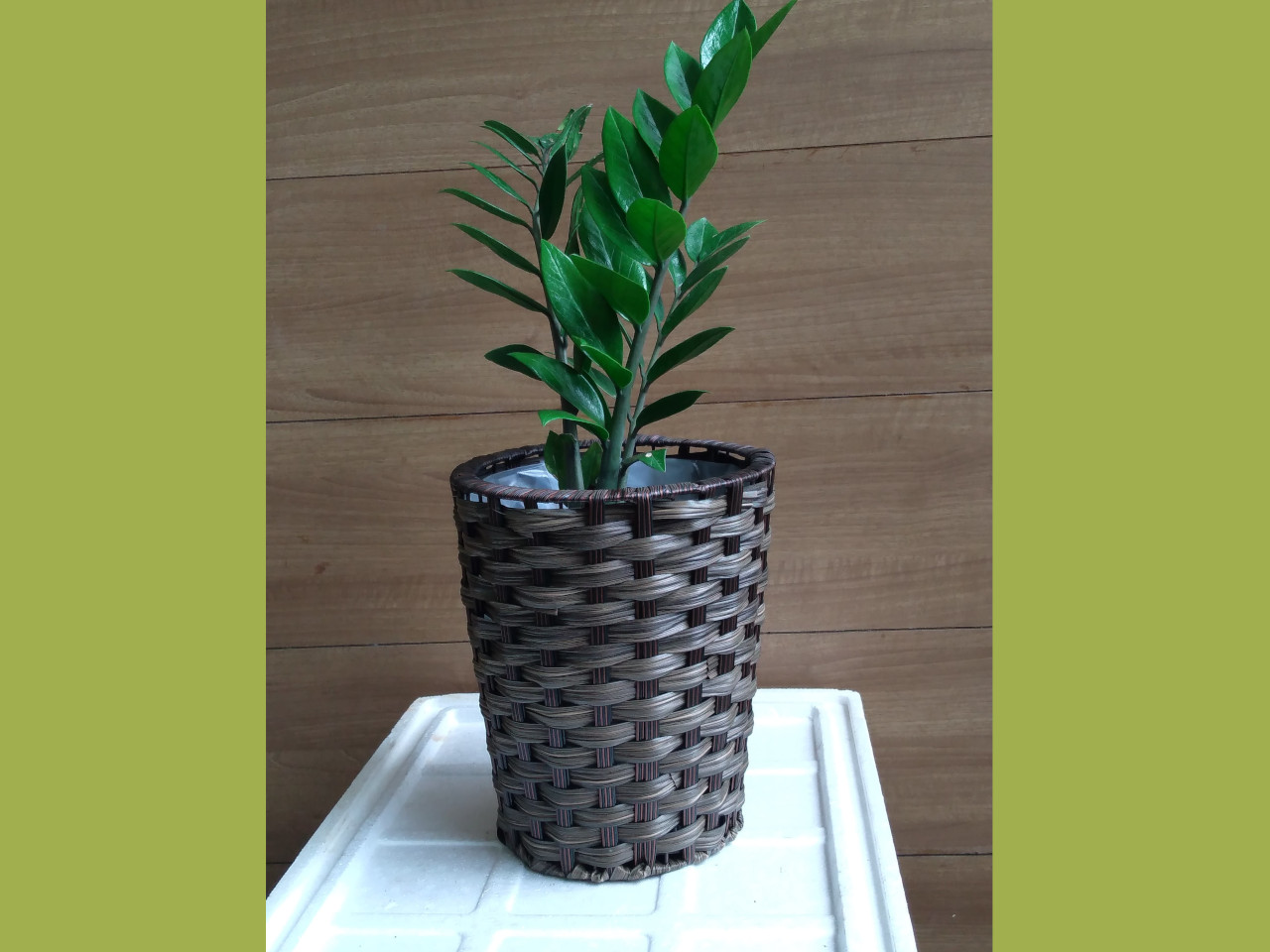 Subcategories Mannuthy Farms